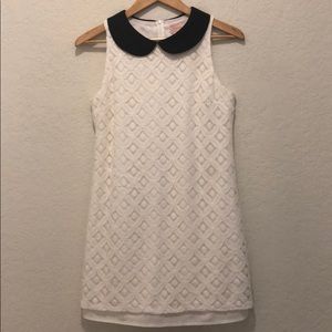 NWOT White Lace Dress with Black Collar